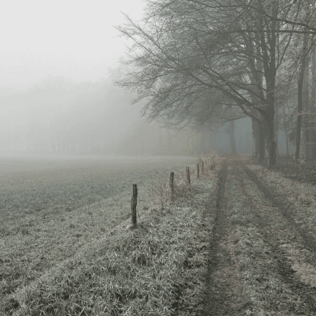 Winter en het element Water